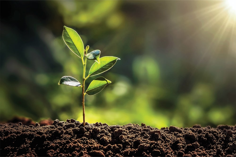 Our sustainability report